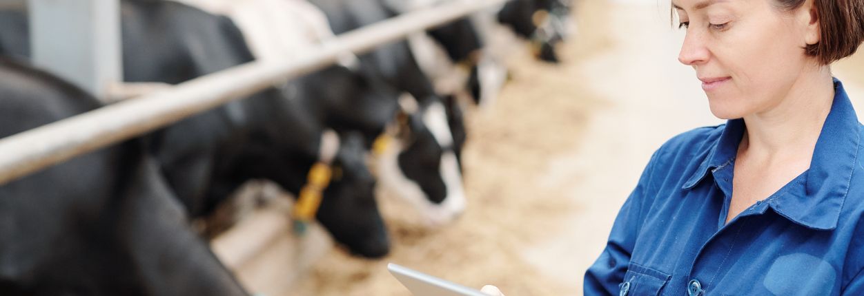 agricultrice consultant sa tablette numérique dans son exploitation agricole