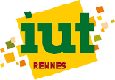 Logo IUT Rennes