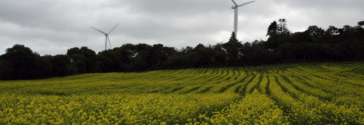 Eoliennes dans un champs a Cast transition énergétique