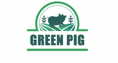 Green Pig