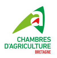 logo carre BD (002)